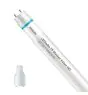 Philips LED Röhre T8 MASTER Value (EM/Mains) High Output 20.5W 3100lm - 840 Kaltweiß | 150cm - Ersatz für 58W